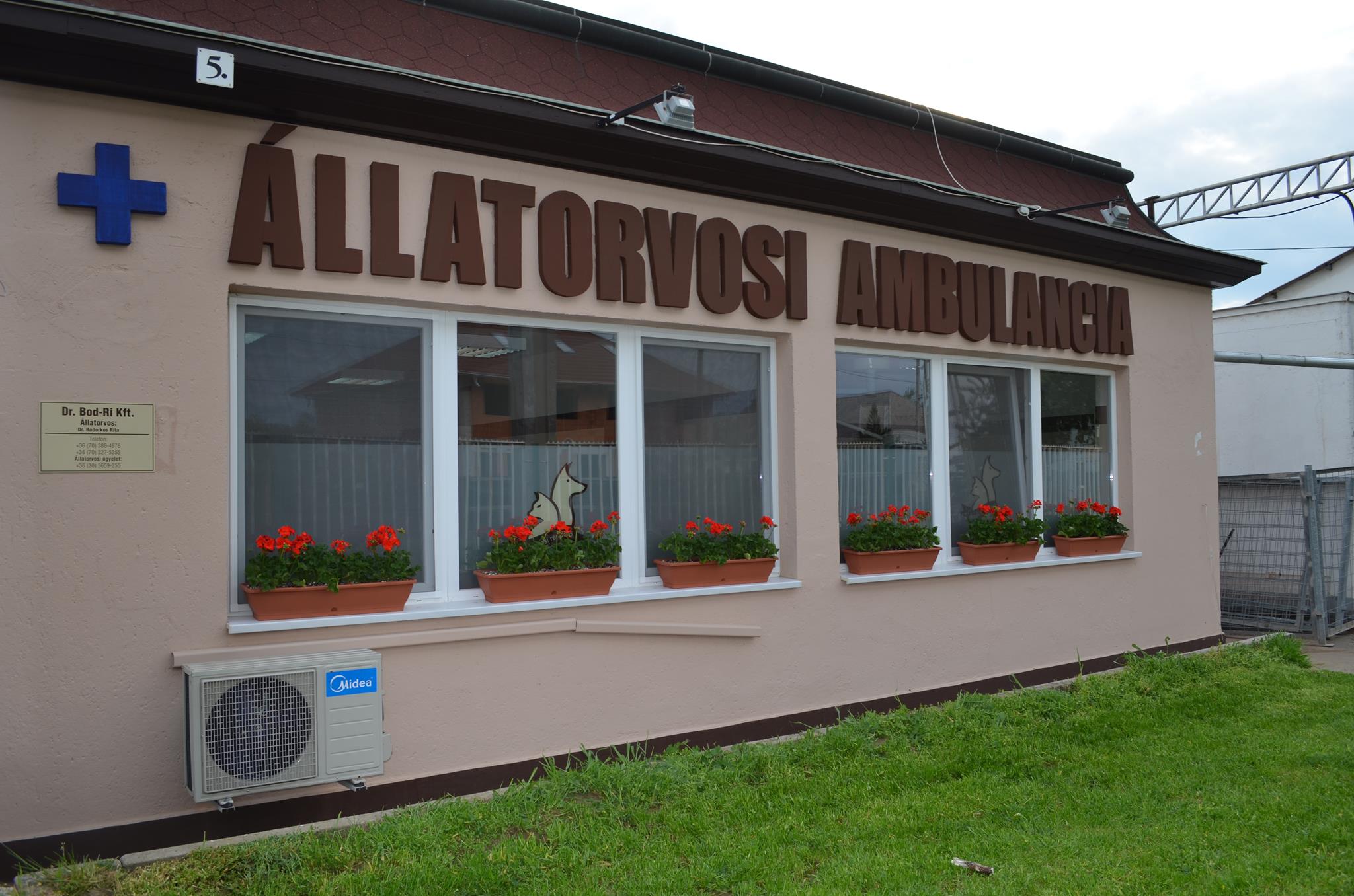 Dr. Bod-Ri Állatorvosi Ambulancia – kép
