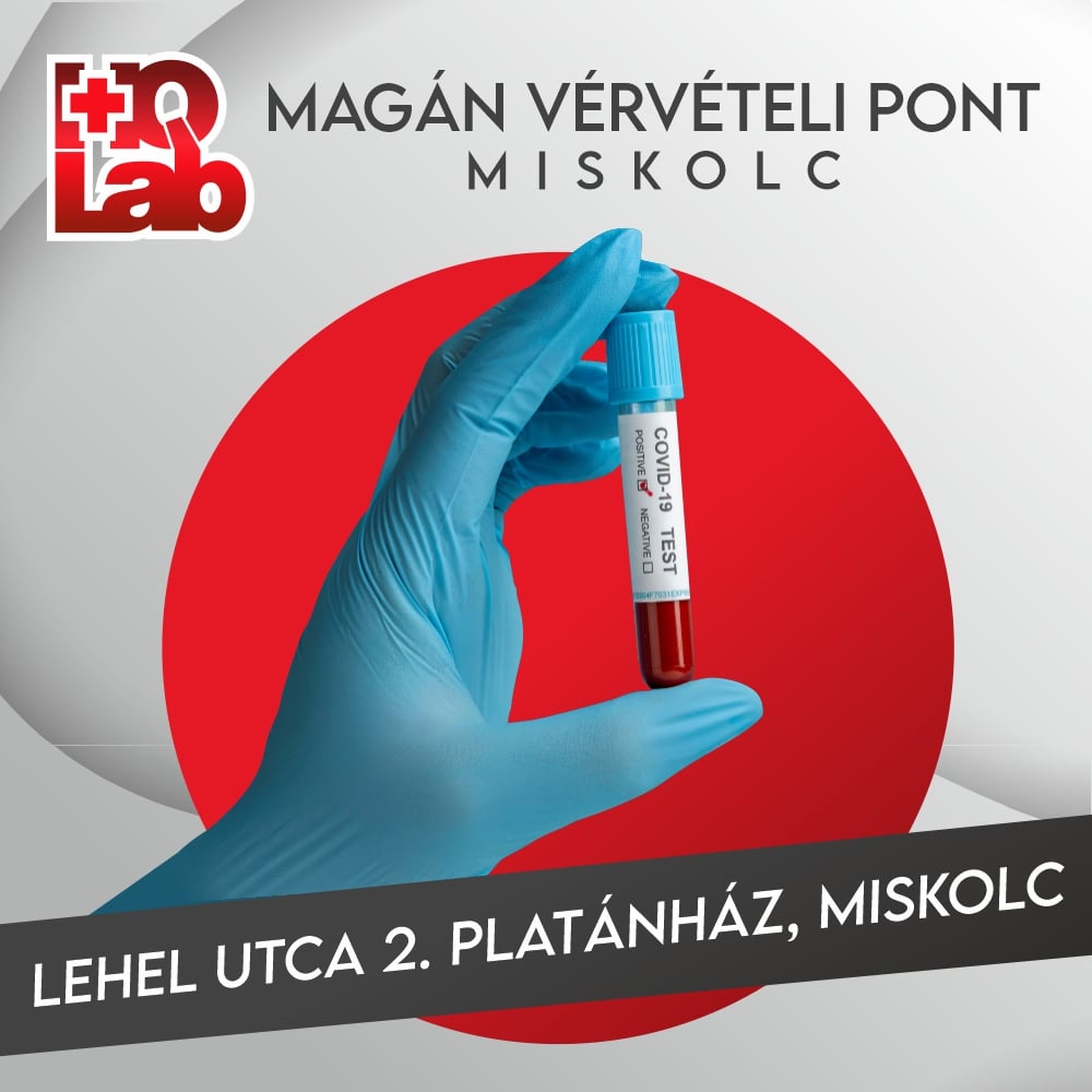 vervetel Miskolc