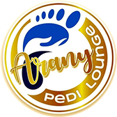 Arany Pedi Lounge - Gyógypedikűr logó